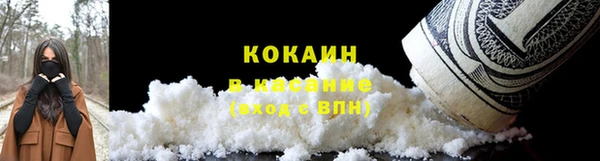 ешки Арсеньев