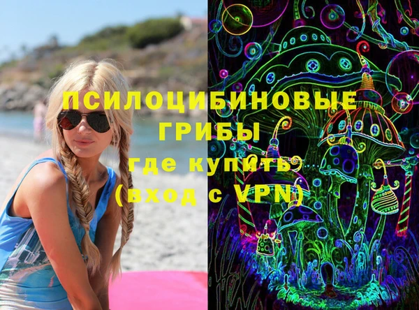 ешки Арсеньев
